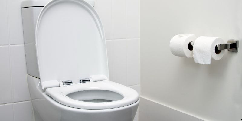 Como desentupir vaso sanitário com garrafa pet em Florianópolis