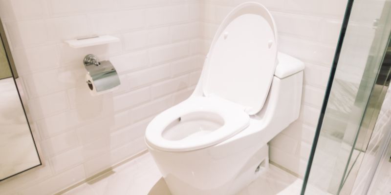 Como Desentupir Vaso Sanitário Que Caiu Objeto Dentro em Florianópolis: 4 Técnicas